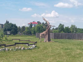 Wycieczka dzieci pięcioletnich do ZOO w Zamościu