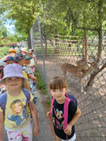 Wycieczka dzieci pięcioletnich do ZOO w Zamościu