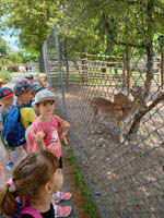 Wycieczka dzieci pięcioletnich do ZOO w Zamościu