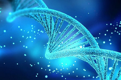 Szkolny konkurs biologiczny „Mistrzowie genetyki”