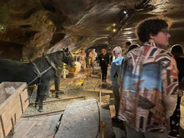 „Poznaj Polskę” – wycieczka klas VIII szlakiem Wieliczka – Zakopane- Kraków