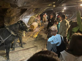 „Poznaj Polskę” – wycieczka klas VIII szlakiem Wieliczka – Zakopane- Kraków