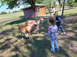 „Sówki” świętują Dzień Dziecka