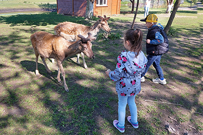 „Sówki” świętują Dzień Dziecka