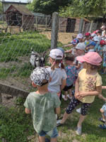 Zoo w Turce