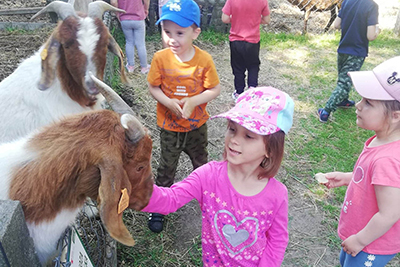 Wycieczka 3-4 latków do Zoo w Turce