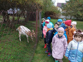 Święto darów jesieni w grupie „Żuczki”