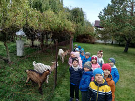 Święto darów jesieni w grupie „Żuczki”