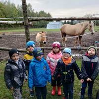 Święto darów jesieni w grupie „Żuczki”