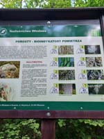 50. Rajd Pieszy „Ślimaków”