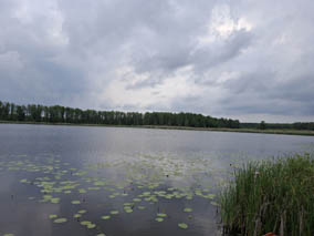 „Jezioro Cycowe” odkryte