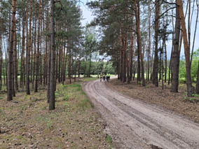 „Jezioro Cycowe” odkryte
