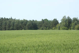 Harcerski rajd pieszy