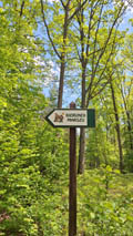 52. Rajd Pieszy „Ślimaków”
